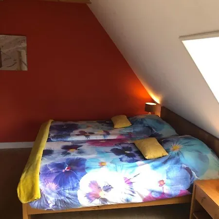 Idylle Aan Zee Incl 2 Wellnessstudios Sint Maartensvlotbrug
