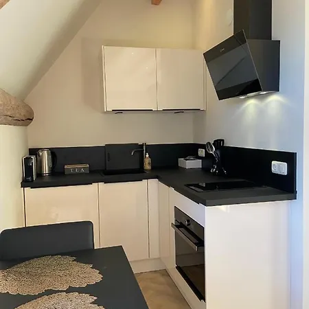 Idylle Aan Zee Incl 2 Wellnessstudios 4* Sint Maartensvlotbrug