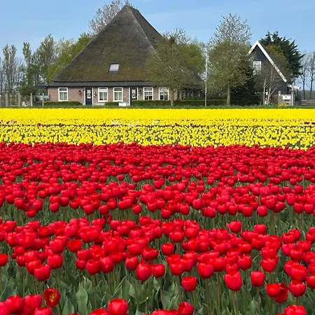 Bed & Breakfast Idylle Aan Zee Incl 2 Wellnessstudios Sint Maartensvlotbrug