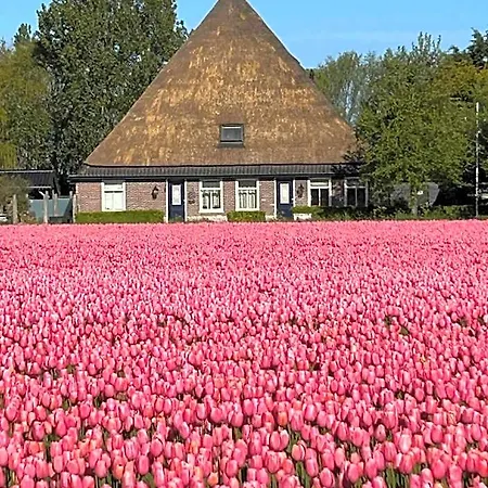 Idylle Aan Zee Incl 2 Wellnessstudios Sint Maartensvlotbrug