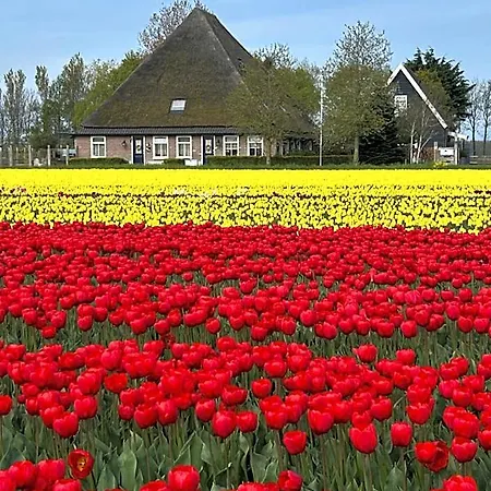 Idylle Aan Zee Incl 2 Wellnessstudios Nocleg ze śniadaniem 4*