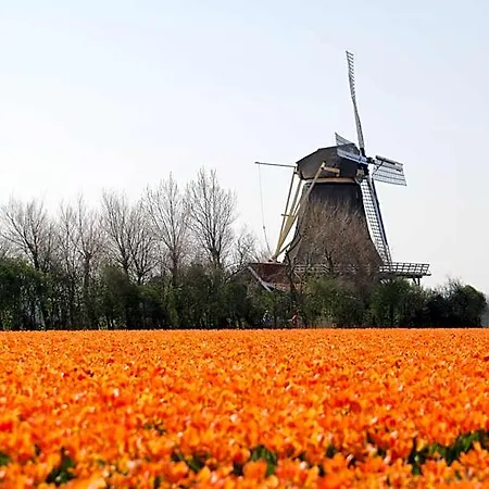 Idylle Aan Zee Incl 2 Wellnessstudios Nocleg ze śniadaniem Sint Maartensvlotbrug