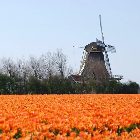 Idylle Aan Zee Incl 2 Wellnessstudios Bed & Breakfast Sint Maartensvlotbrug