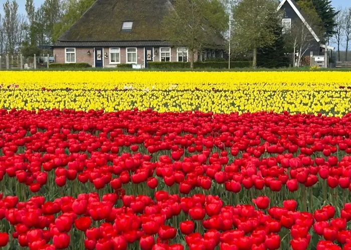 Bed & Breakfast Idylle Aan Zee Incl 2 Wellnessstudios Sint Maartensvlotbrug