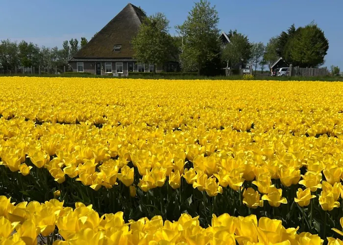 Idylle Aan Zee Incl 2 Wellnessstudios Bed & Breakfast Sint Maartensvlotbrug