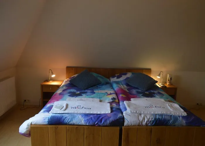 Idylle Aan Zee Incl 2 Wellnessstudios Bed & Breakfast