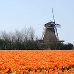 Idylle Aan Zee Incl 2 Wellnessstudios ベッド・アンド・ブレックファスト Sint Maartensvlotbrug