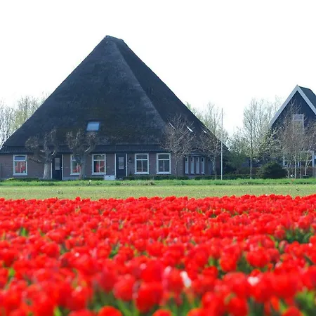 Idylle Aan Zee Incl 2 Wellnessstudios Sint Maartensvlotbrug